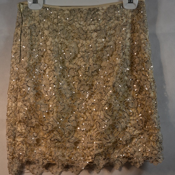 Sequin Lace Skirt H&M SZ 6 - Picture 1 of 2